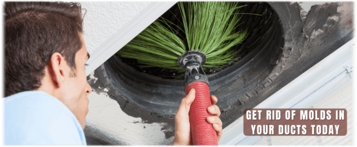 Air Duct Mold Removal in Woodlands TX