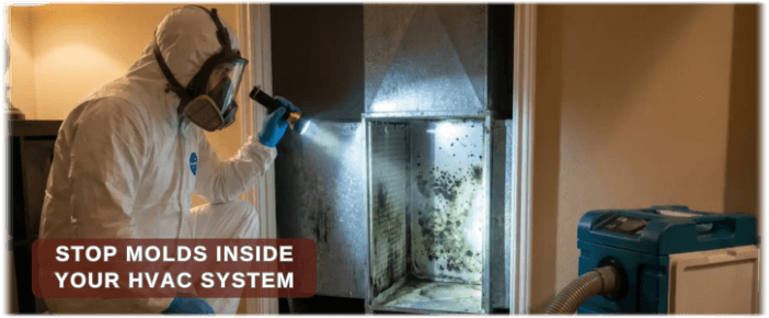 HVAC Mold Removal Woodlands TX
